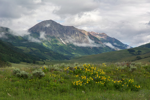 Gothic Mountain in the Elk Range near Crested Butte, Colorado with wildflowers and low hanging clouds