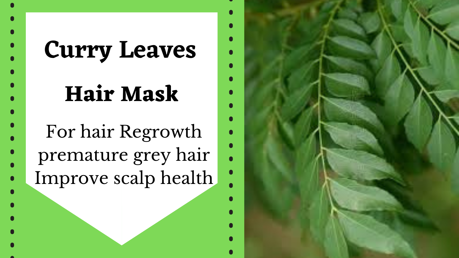 How to Use Curry Leaves  Onion Juice for Hair Care