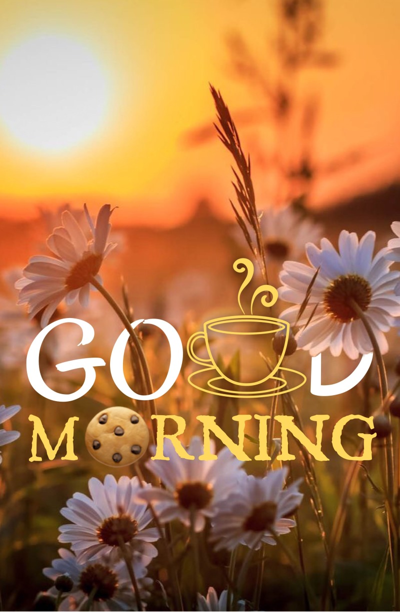 Good Morning Thursday Images Good Morning Thursday Images