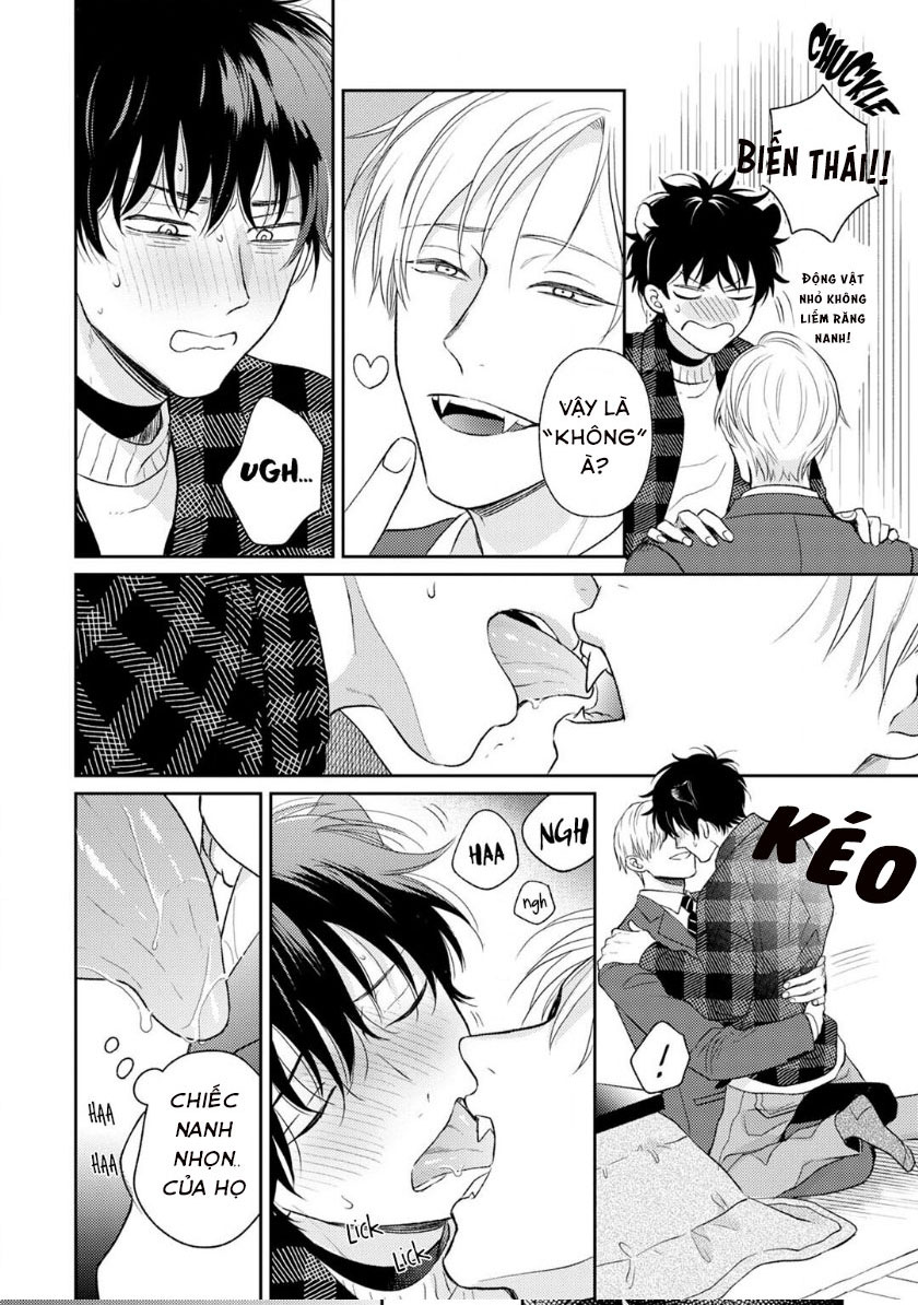 Đọc truyện To Make A Delicious Omega Squeak (Hanasawa Namio) - Chapter 3