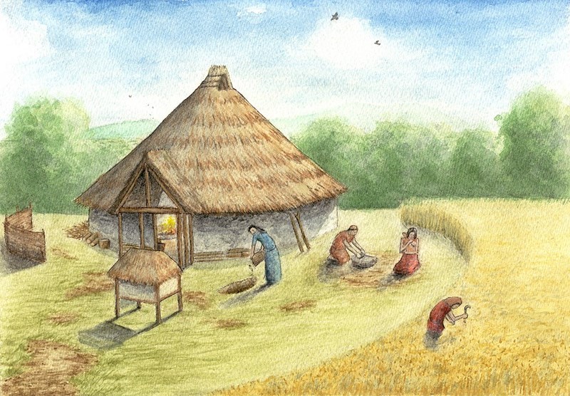 Illustration of Age house | Irish history, Ancient people, Bronze age