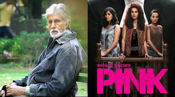 Pink Movie Box Office Collections With Budget & its Profit (Hit or Flop)