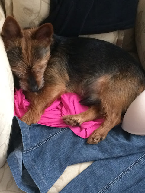 O meu Isaac O meu Isaac