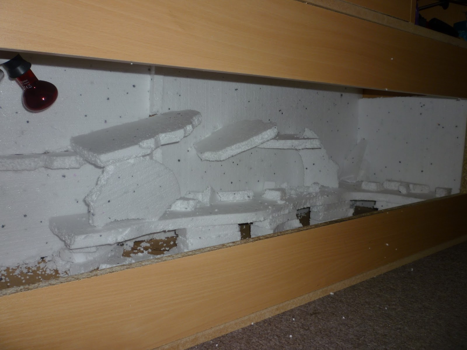 vivarium-set-up-for-bearded-dragon-2.jpg