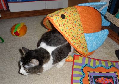 Anakin Two Legged Cat in the Funky Fish Bed