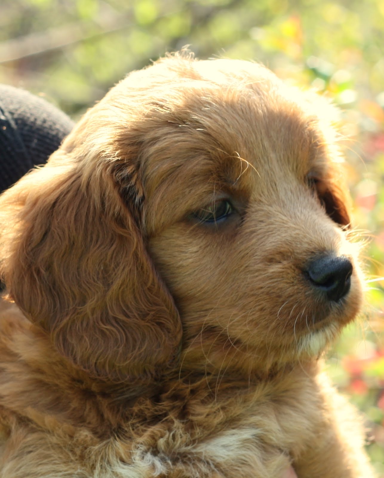 Once Upon A Time...: Ruby and Riley are the proud parents of this ...