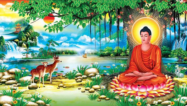Vì sao Đức Phật, Bồ Tát ngồi trên hoa sen mà không phải loài hoa khác?