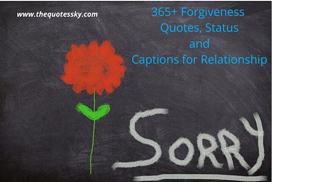 365+ Forgiveness Quotes, Status and Captions for Relationship