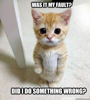 Flavour of the Day - Lolcats - lol, cat memes, funny cats, funny cat  pictures with words on them, funny pictures, lol cat memes