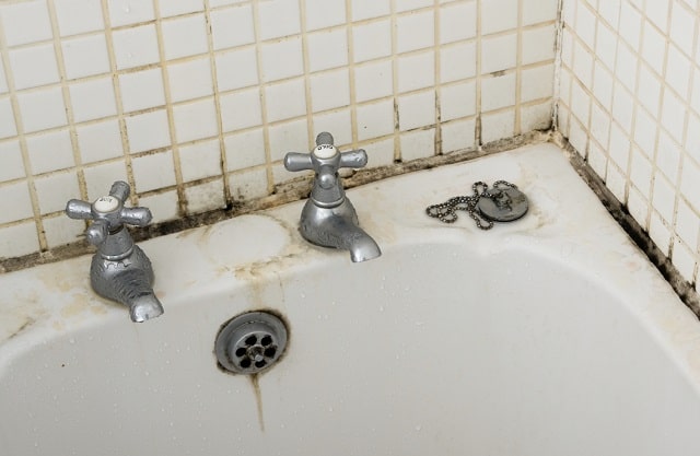 damp property home leaking health risks house