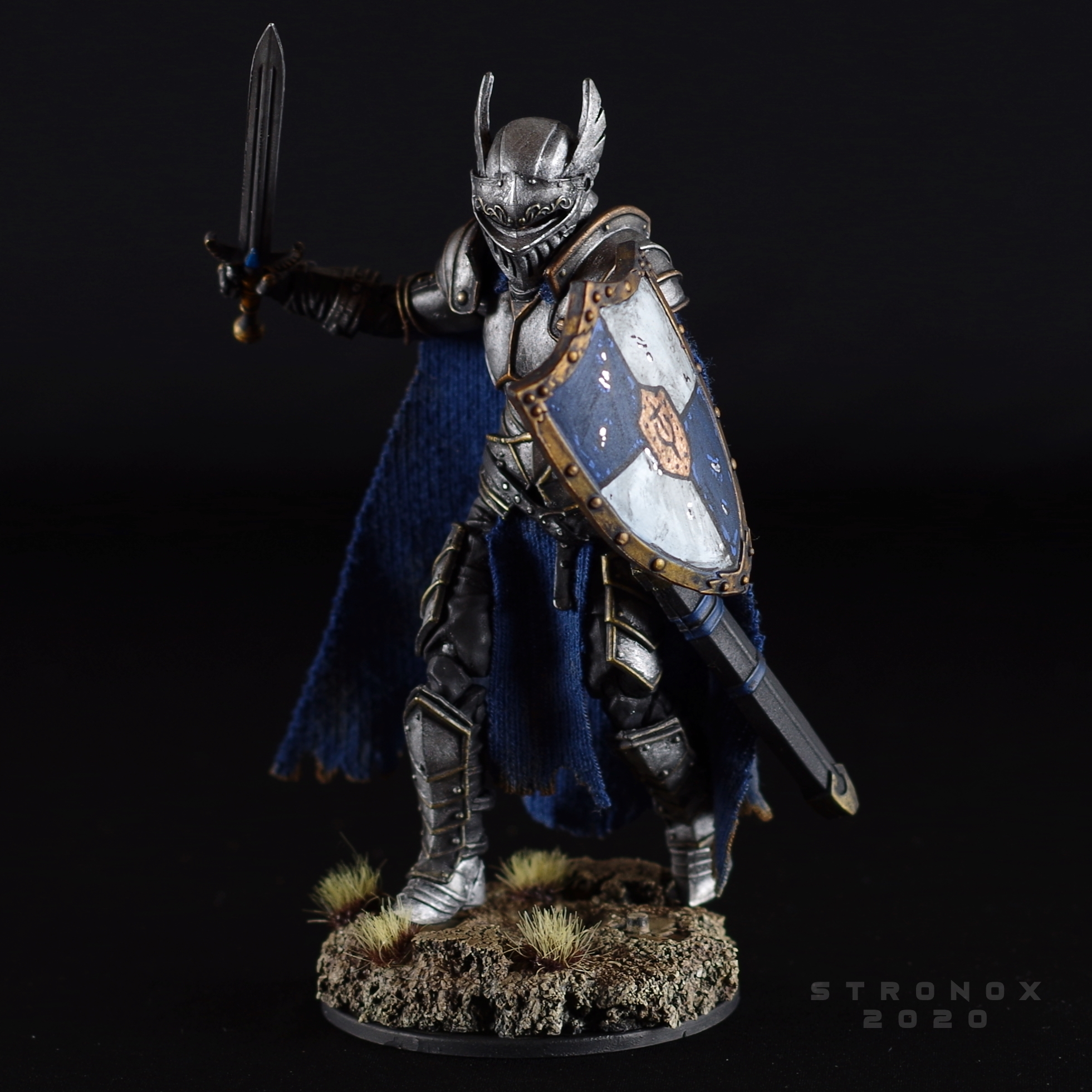 Stronox Custom Figures: VItruvian HACKS: Heroic Knight