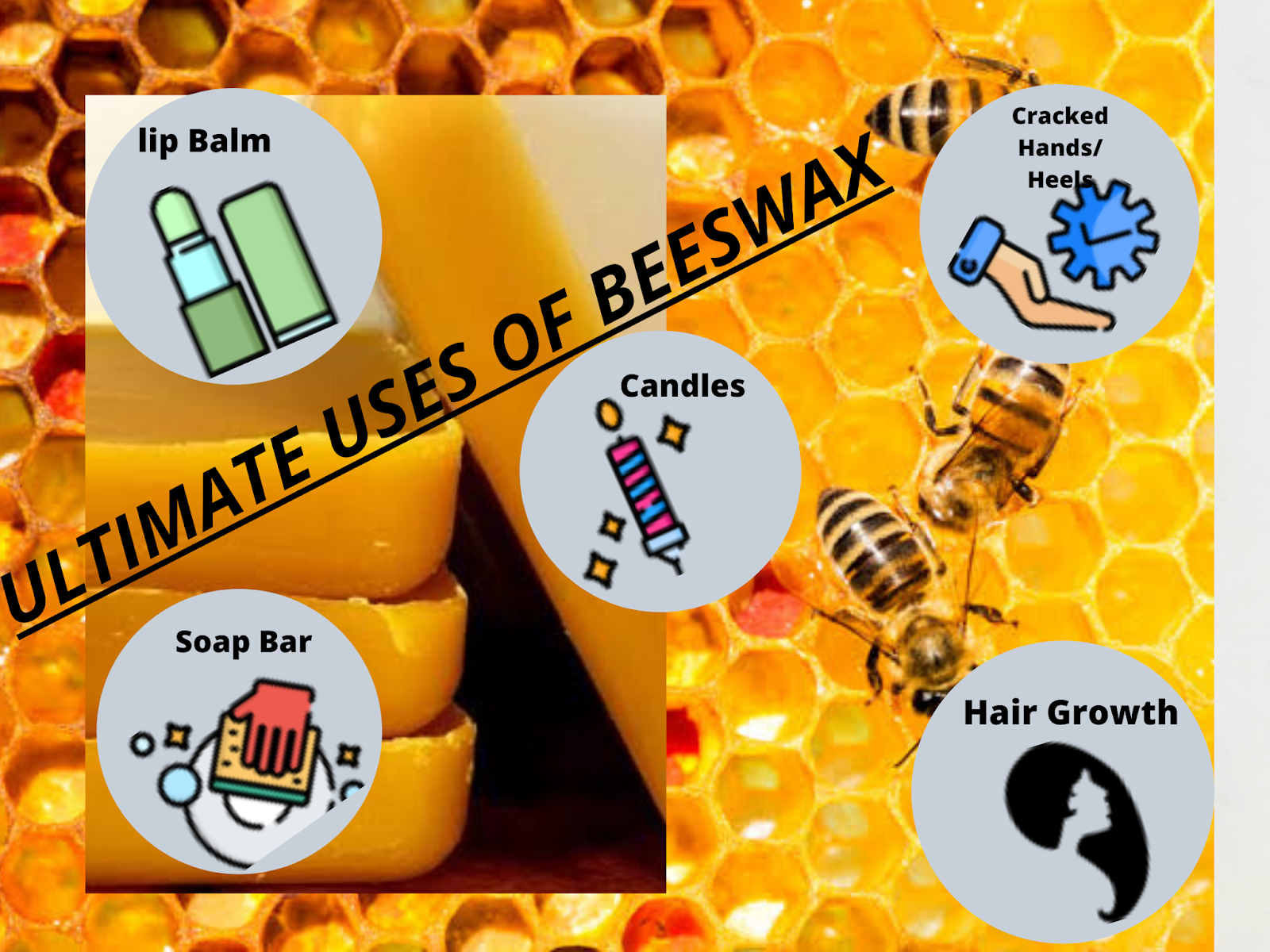 Home Remedies for Hair, Skin and Health Aloe Vera Uses for Health