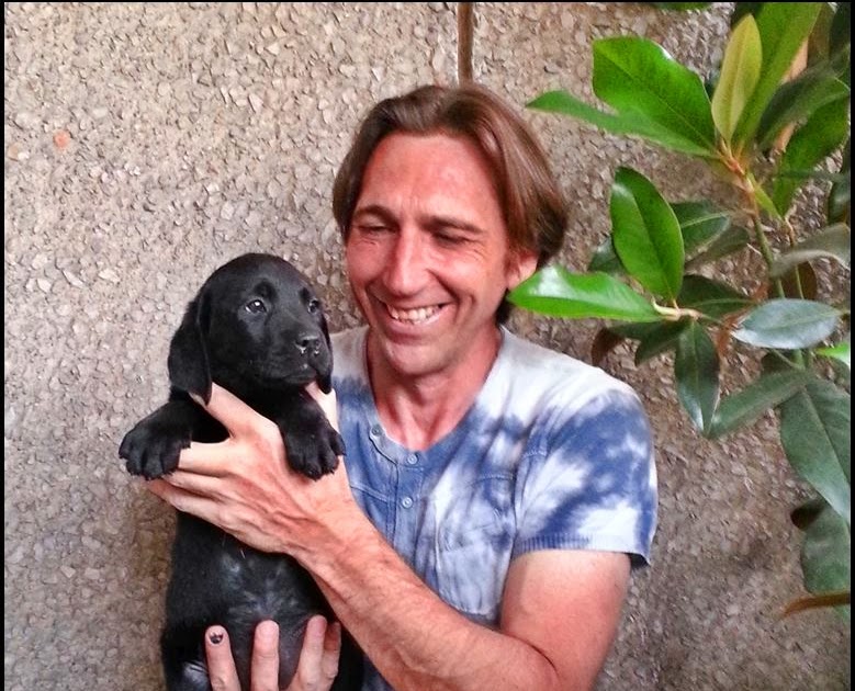 Cómo evitar que mi perro muerda los muebles, sillas, cables, etc.. -