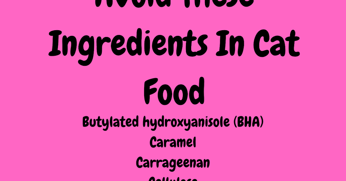 Cat Food Ingredients To Avoid