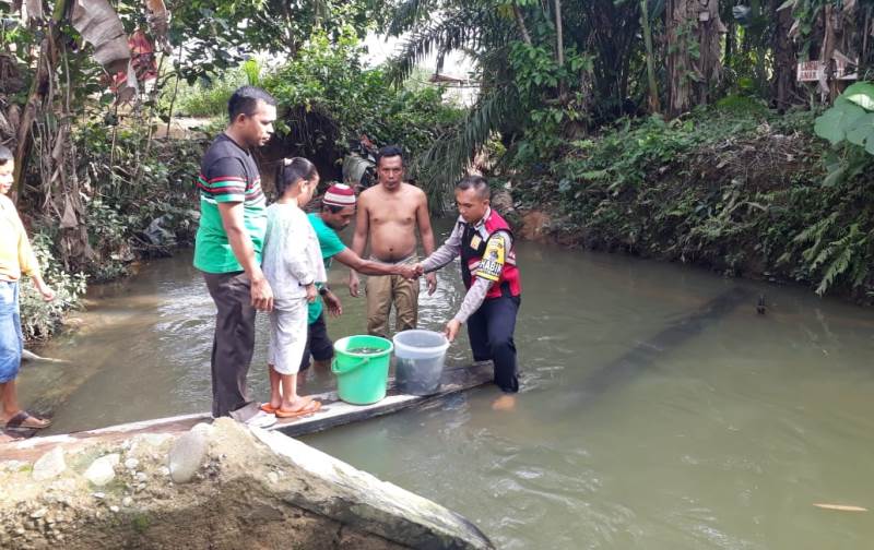 'Perduli Terhadap Anak Yatim' Brigadir Yusron Pandiangan Sumbang 400 Ekor Bibit Ikan Nila