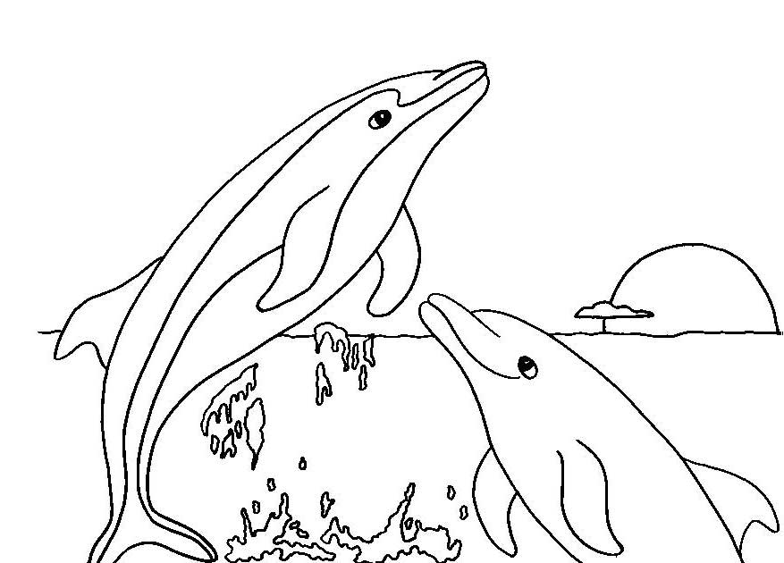free-coloring-pages-of-dolphins-to-the-print
