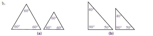 Kesebangunan pada Segitiga dan Contoh Soal Kesebangunan