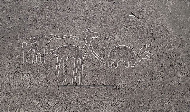 143 new Nazca geoglyphs discovered