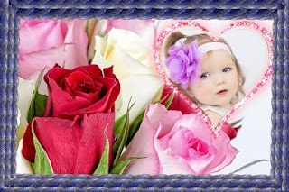 गुलाब का फूल फोटो डाउनलोड, फूलों के फोटो, गुलाब शायरी, दिल के फोटो, फूल गुलाब, गुलाब फूल की खेती, कमल के फूल, गुलाब के फूल के उपयोग, फोटो फ्रेम फोटो फ्रेम