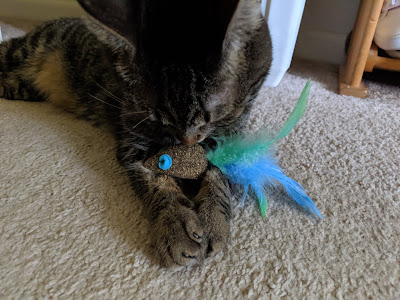 Never Pay Full Price