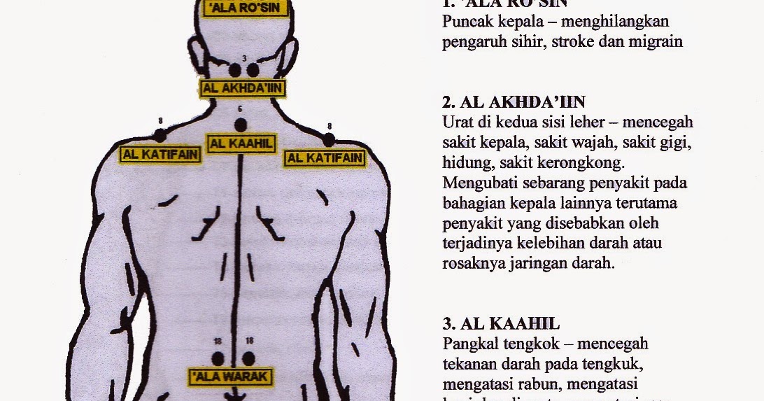 Al-HIJAMAH @ BEKAM @ CUPPING: ANTARA TITIK - TITIK @ POINT - POINT