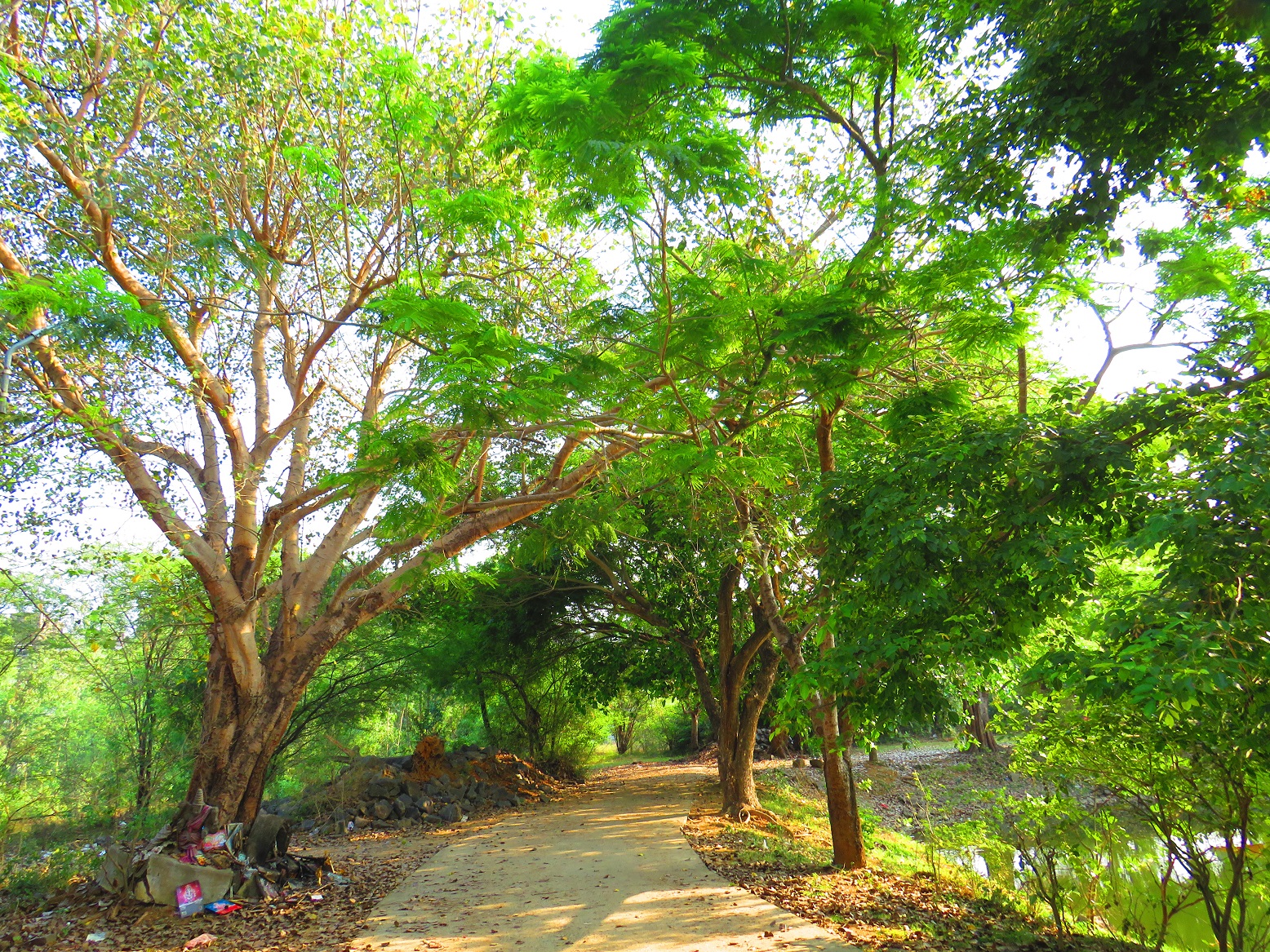 Kolapakkam Agasteeswarar Temple