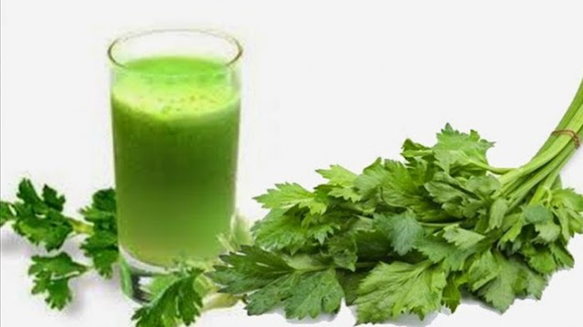 tanaman seledri bisa dijadikan jus untuk kesehatan