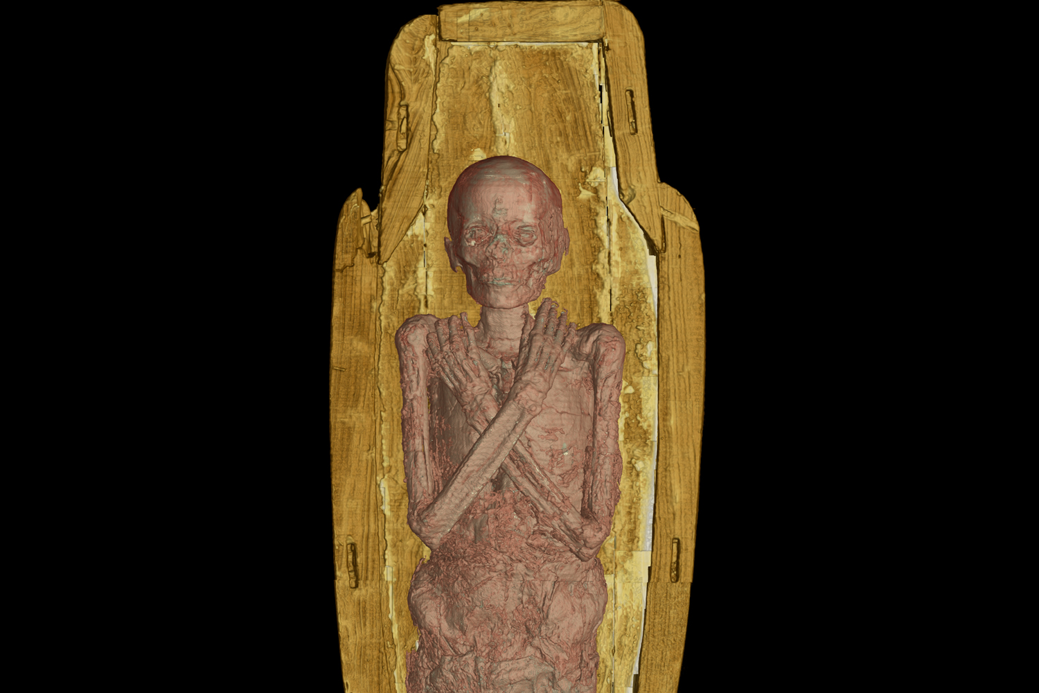 Compendium Science and Mummies and Parks, Oh My!