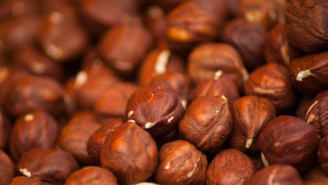 Can Dogs Eat Hazelnuts?
