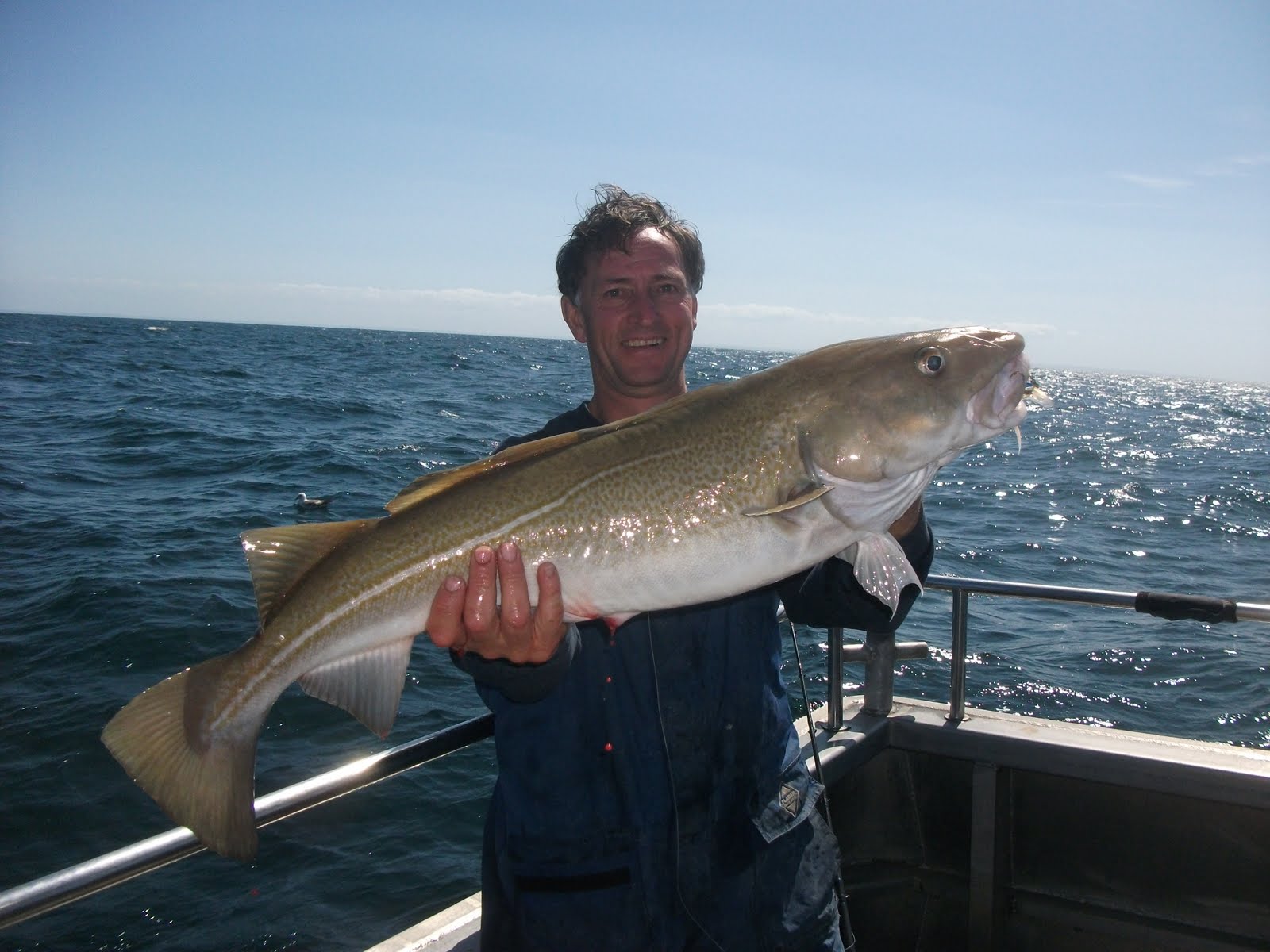 Catch Reports: August 2011