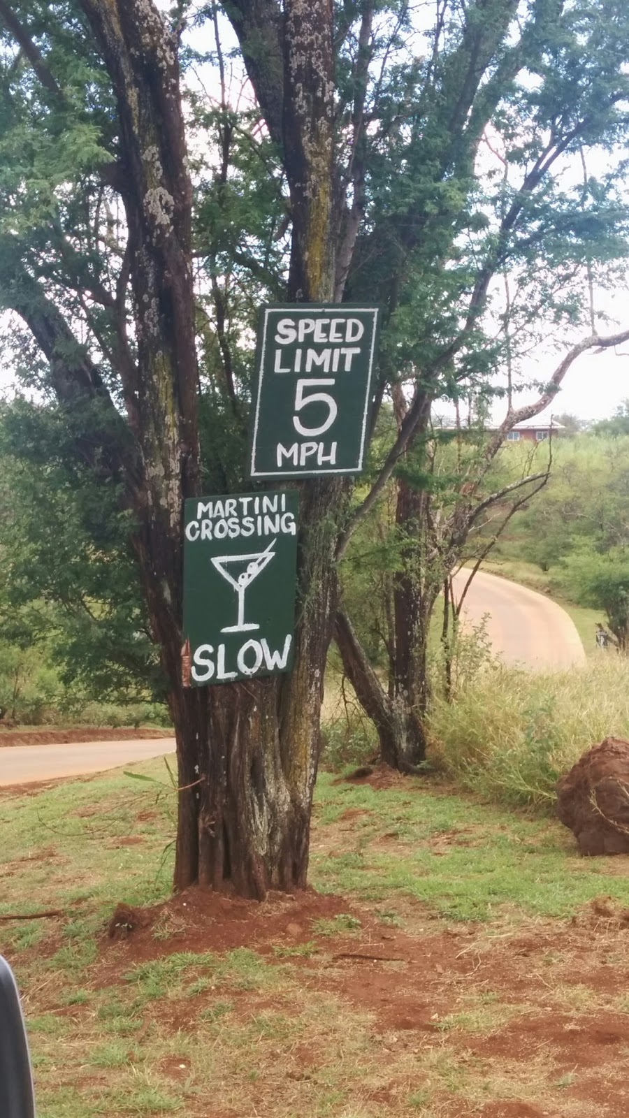 Got it, Cook it Maui Ocean Vodka & Surfing Goat Cheese