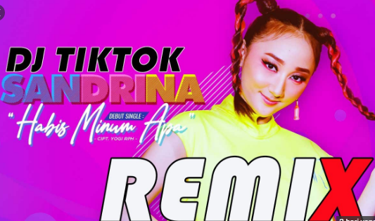 Lagu Dj Remix Abis Minum Apa Sandrina Mp3