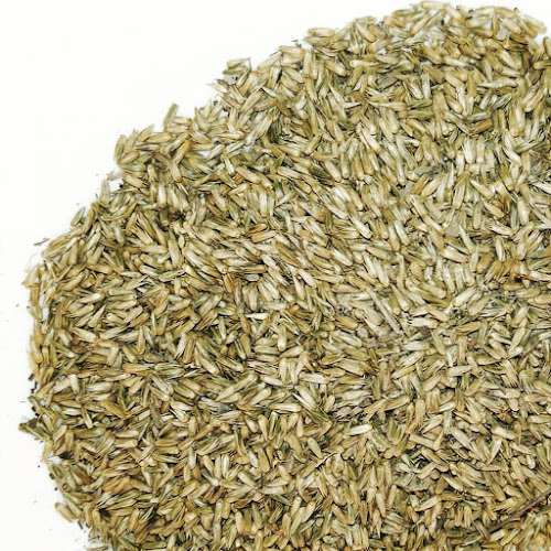 benefits of Apamarg (Achyranthes Aspera ) herbal arcade benefits of Apamarg (Achyranthes Aspera ) herbal arcade