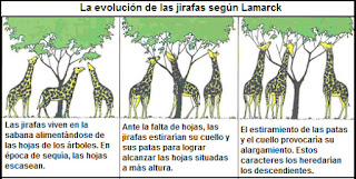 "Estudiantes Digitales": La Teoría Evolutiva de Lamarck: el transformismo