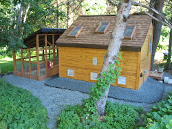 cool coops chick compound coop chickens chicken minnesota community