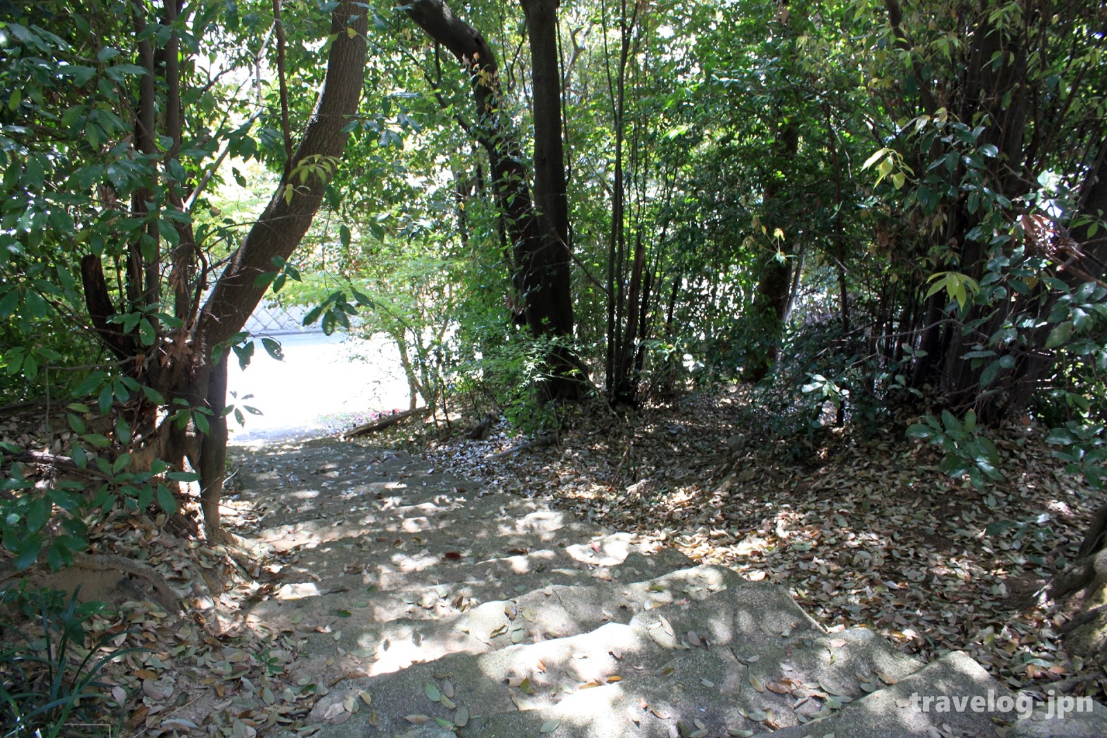 万葉 の記事一覧 偐万葉田舎家持歌集 楽天ブログ