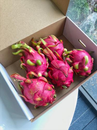 224332a4 0517 4068 a3ca 69696edd8bd7