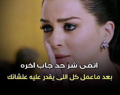shof_f6db9097d5b71a2