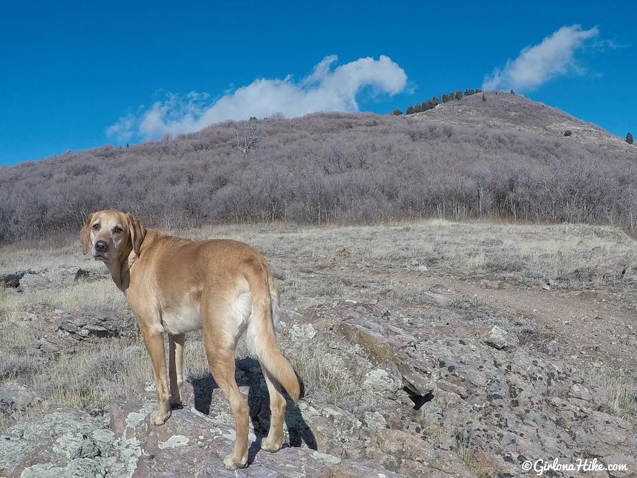 Hiking the Sardine Peak Loop, Snowbasin Girl on a Hike