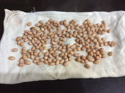 DELICIOUS SALTY AND SPICY PEANUTS (part-1) 8 IMG 3017