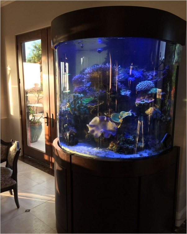 discount fish tank decorations