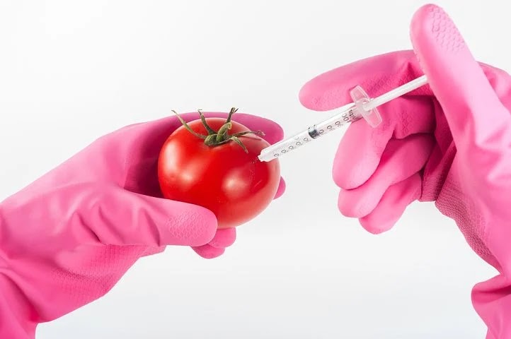 Jelaskan pengertian bioteknologi serta sebutkan objek ...