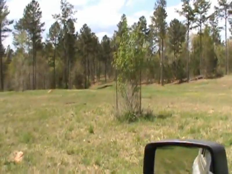 homes Land Sale Madison County USA 2012 41.2 Acres Great