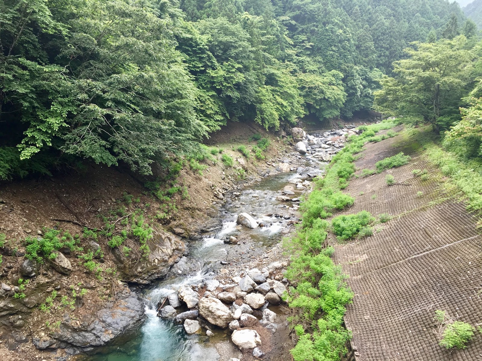 水位下降で名栗湖に流れ込み出現 名栗川の釣り 里川のテンカラ釣り Tenkaratrain