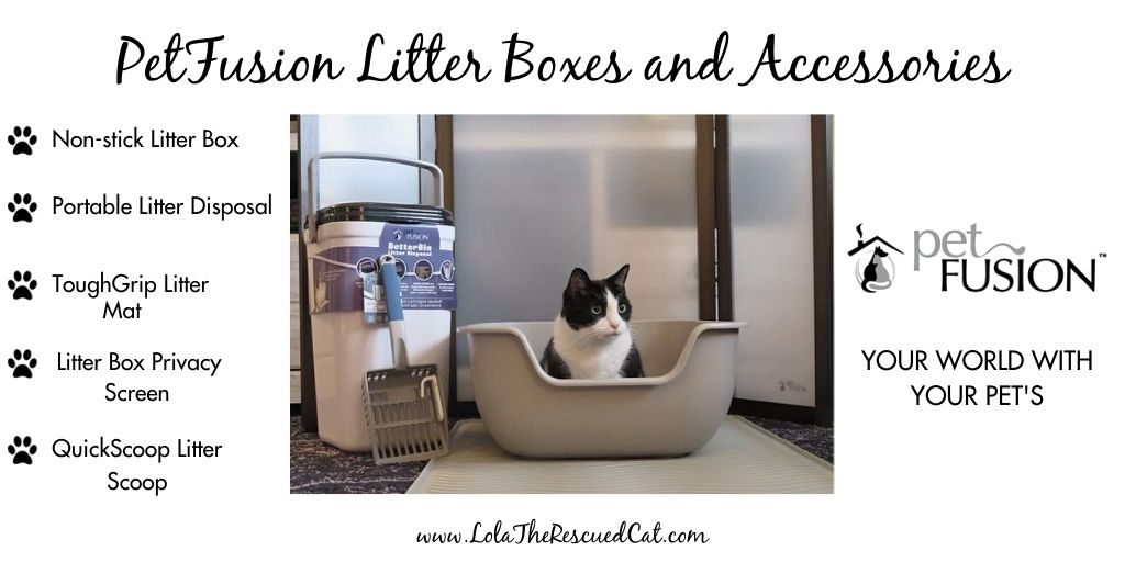 Create a Litter Box Privacy Zone with PetFusion Lola The Rescued Cat