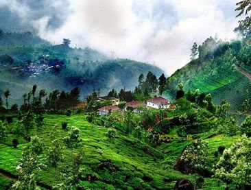 India Tours: Hill Station