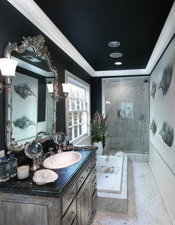 General Splendour I Painted My Ceiling Navy Blue