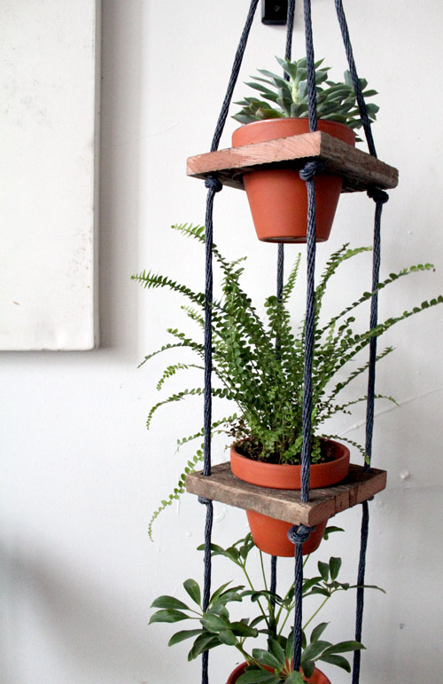 Indoor Hanging potted plants | Gardening Forums Indoor Hanging potted plants | Gardening Forums on Hanging Plant Pots Indoor
id=18998