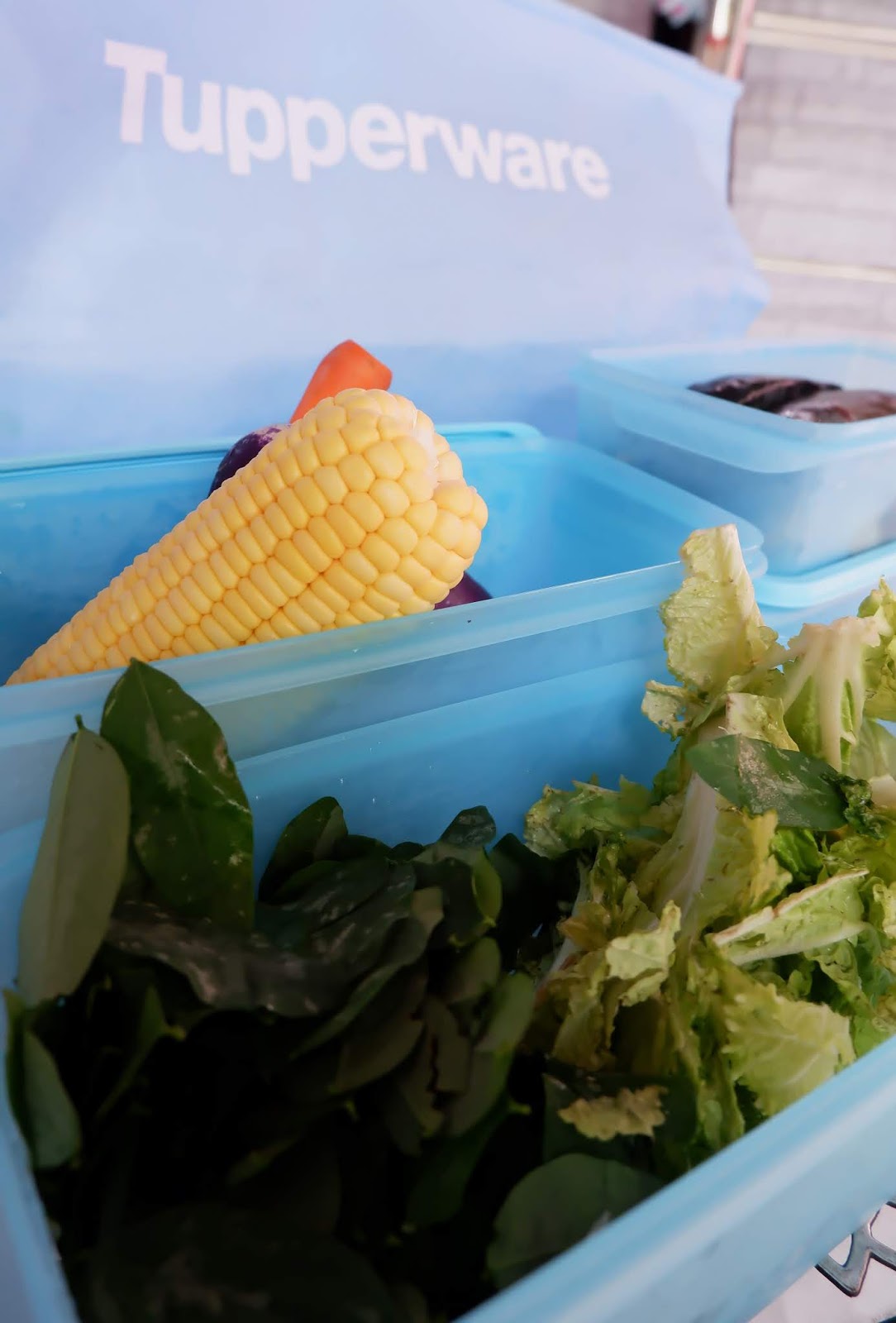 Langkah Hemat Food Preparation dengan Tupperware Freshia Collection