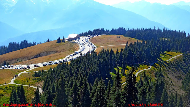 Hurricane Ridge Visitor Centre